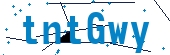 recaptcha
